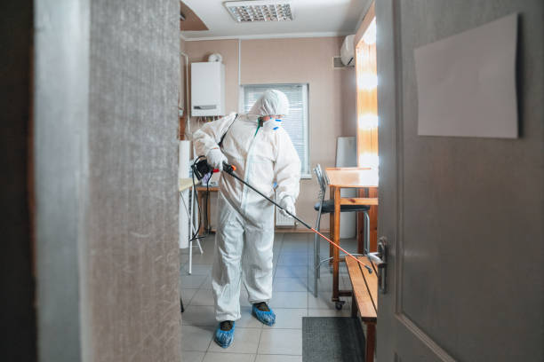 Mold Remediation for Vacation Homes in Wormleysburg, PA